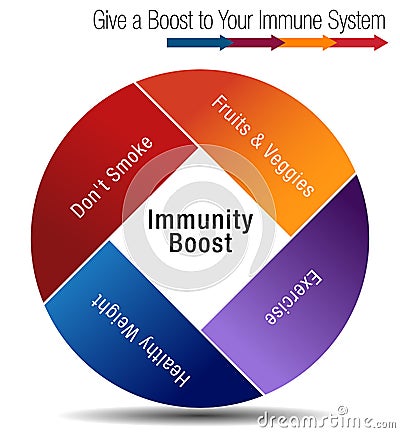 Boost and Stregthen Your Immune System Chart Vector Illustration