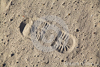 Boot footstep Stock Photo