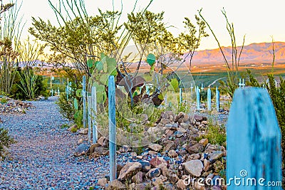 Boothill Graveyard in Tombstone Arizona Editorial Stock Photo