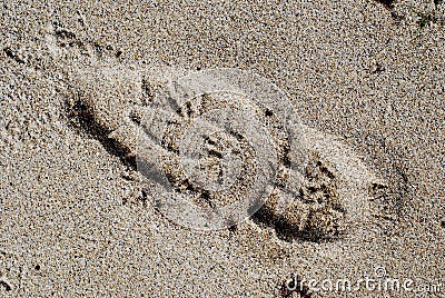 Bootprint on the sand Stock Photo