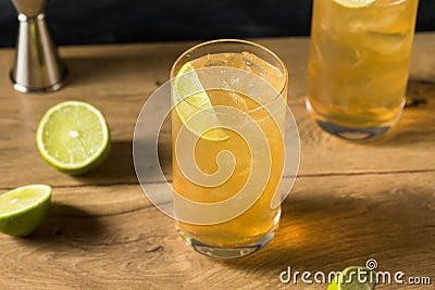 Boozy Refreshing Moscow Mule Cocktail Stock Photo