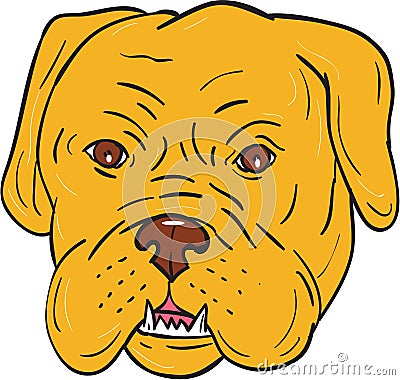 Bordeaux Dog Head Cartoon Stock Photo