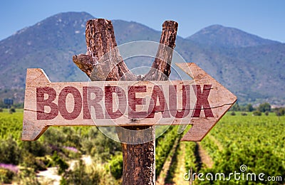 Bordeaux wooden sign with winery background Stock Photo