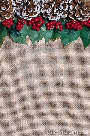 Border of Christmas pinecones, holly leaves and red berries on rustic burlap fabric background Stock Photo