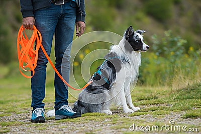 Man with border collie dog Stock Photo