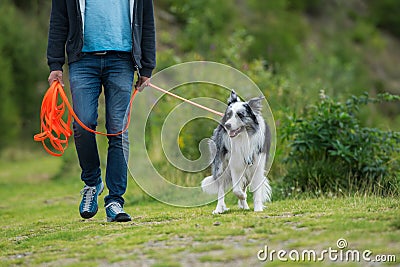 Man with border collie dog Stock Photo