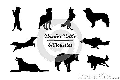 Border Collie dog silhouettes Stock Photo