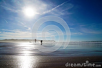 Beach stroll with dog Stock Photo