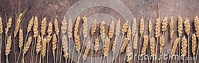 A border of ears of wheat or rye on a dark rustic background. Autumn harvest concept. Top view, flat lay Stock Photo