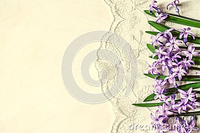 Border with lilac hyacinths on the lace background Stock Photo