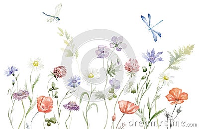 Border with multicolor Wildflowers. Summer Illustration. Stock Photo