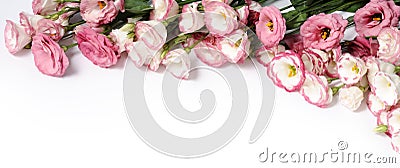 Border of pink flowers Stock Photo