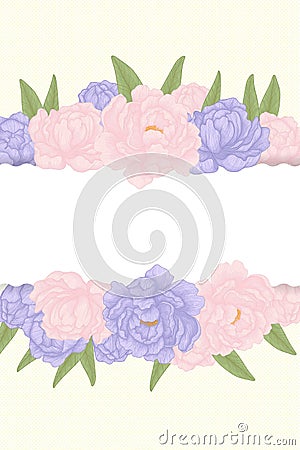 Border, postcard template, hand drawn illustration of pink and violet peonies flowers with leaves frame on white background Cartoon Illustration
