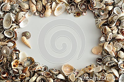 A border with seashells Stock Photo