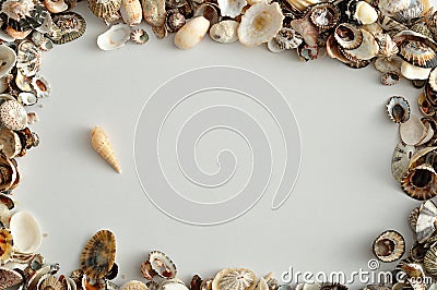 A border with seashells Stock Photo