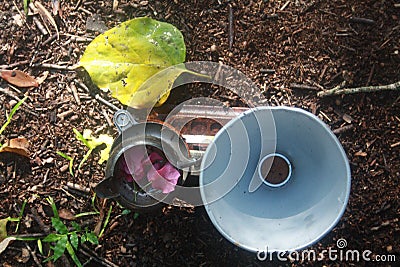 Born with a silver cup in handâ–ª leaf Bougainvillea flower peddles a tin reflector rest on a measuring scale Stock Photo