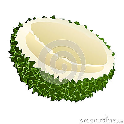 Borneo durian icon, cartoon style Vector Illustration