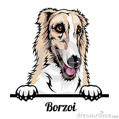 Borzoi - Color Peeking Dogs - breed face head isolated on white Vector Illustration