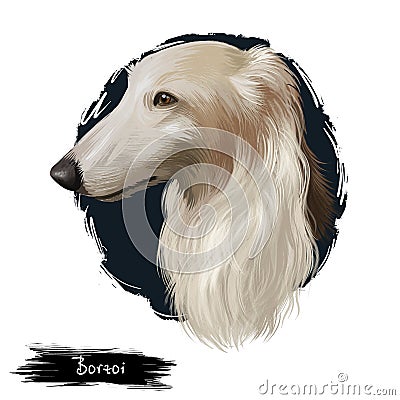 Borzoi, Russian wolfhound, Russian Hunting Sighthound dog digital art illustration isolated on white background. Russian origin Cartoon Illustration