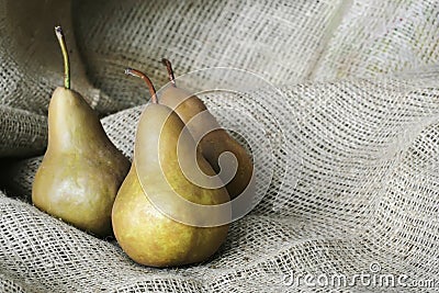 Bosc Pears on Burlap Stock Photo