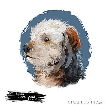 Bosnian Coarse-haired Hound, Barak dog digital art illustration isolated on white background. Bosnia and Herzegovina origin Cartoon Illustration