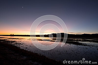 Bosque del Apache wildlife refuge at dusk Stock Photo