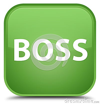 Boss special soft green square button Cartoon Illustration