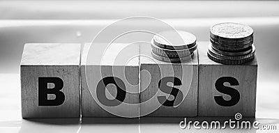 The boss sign on a wooden cubes on black. Business owner concept Stock Photo