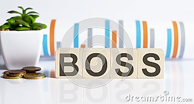 BOSS word letters on wooden blocks with coins. BUSINESS Stock Photo