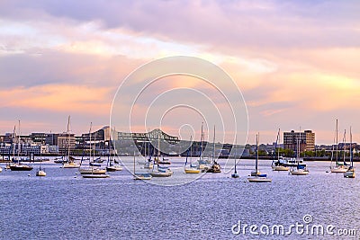 Boston city skyline view with sailboats Stock Photo