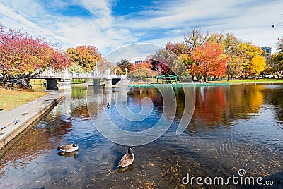 Boston Common in fall Stock Photo