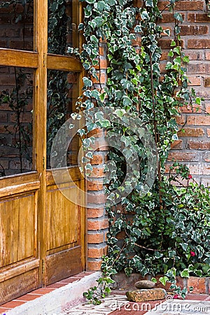 Boston Ivy Crawling Up Brick Wall Outside Rustic Door Stock Photo