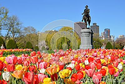 Boston Public Garden Editorial Stock Photo