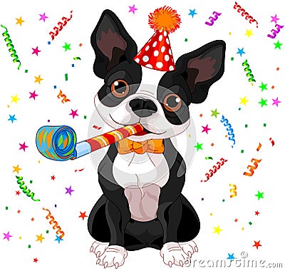 Boston terrier party Vector Illustration