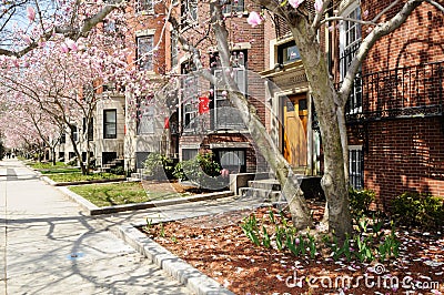 Boston University in spring Stock Photo