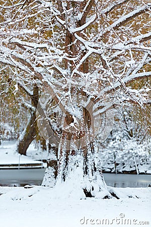 Boston winter wonderland. Stock Photo