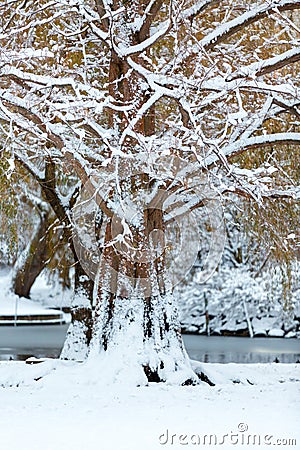 Boston winter wonderland. Stock Photo