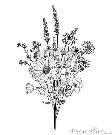 Botanic elements. Trendy wild flowers and branches, plants and leaves black and white Eps Vector Illustration