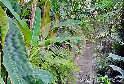 Botanic garden Stock Photo