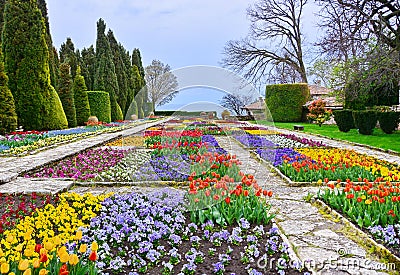 Botanic garden with colorful flowers Stock Photo