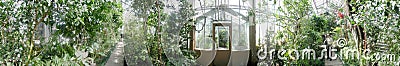 Botanic garden - palm conservatory, 360 degrees panorama Stock Photo