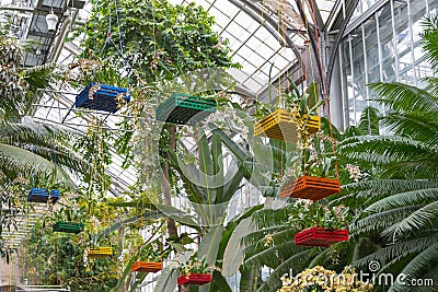 Botanic Garden. Washington D.C. USA Editorial Stock Photo