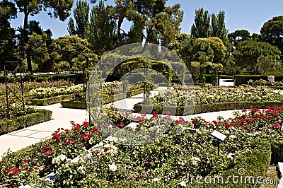 Botanic gardens Stock Photo