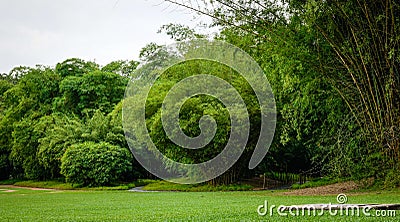 Botanic Gardens in Singapore Stock Photo