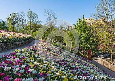 The Botanic Gardens of Trauttmansdorff Castle, Merano, south tyrol, Italy, Editorial Stock Photo