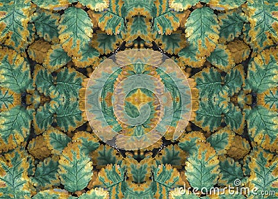 Botanic motif collage pattern Stock Photo