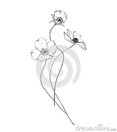 Botanic outline wildflower bouquet. Hand drawn floral abstract pencil sketch Cartoon Illustration