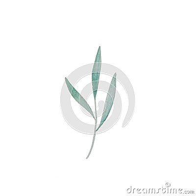 Botanical art. Colorful watercolor green branch in hand drawning style on white background. Invitation print. Beautiful abstract Stock Photo