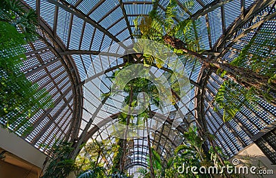 Botanical Bldg Balboa Park Dome Editorial Stock Photo