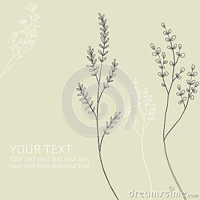 Botanical card. Hand drawing. Minimal plant logo, meadow greenery, leaf and blooming flower abstract sketch, linear Vector Illustration